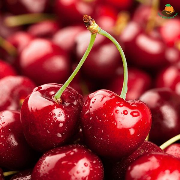 Lý giải nguyên nhân vì sao trái cherry trên thị trường lại có giá thành vô cùng đắt đỏ