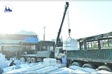 Tổ chức nhân sự