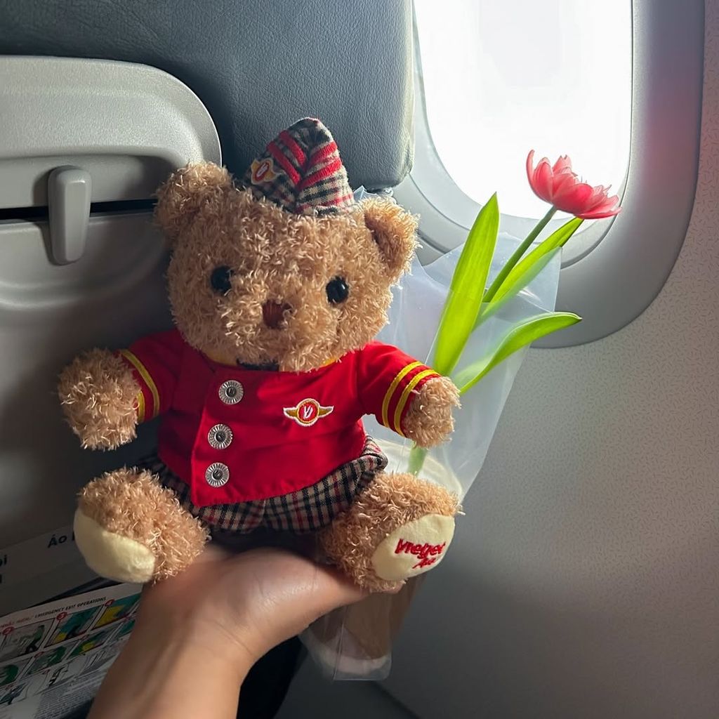 gấu bông vietjet