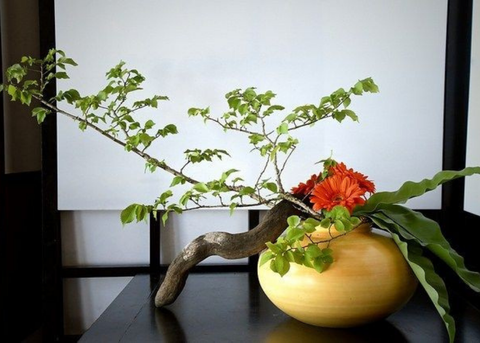 Ikebana - Nghệ thuật cắm hoa của Nhật Bản