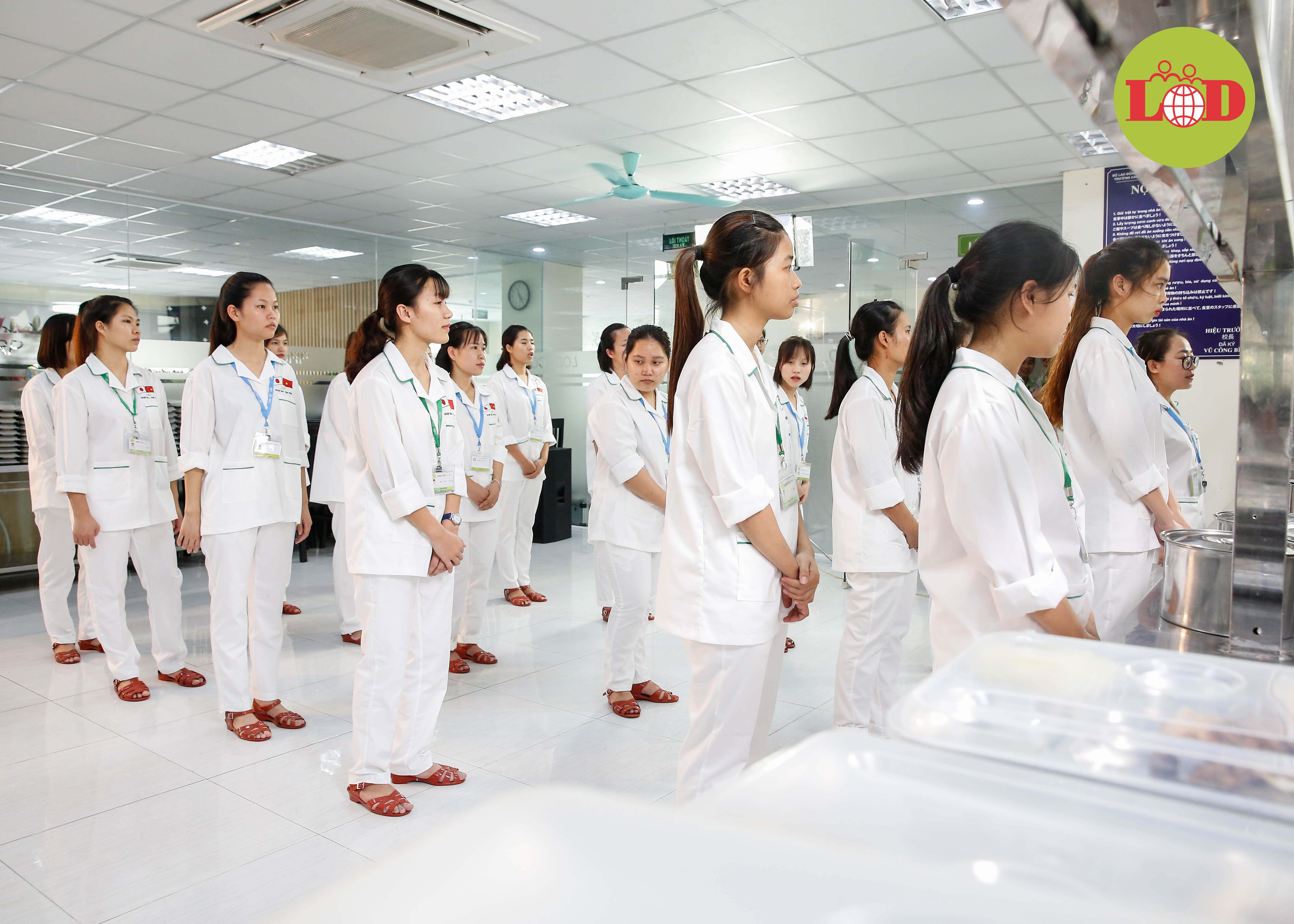 Văn hóa xếp hàng của Nhật Bản