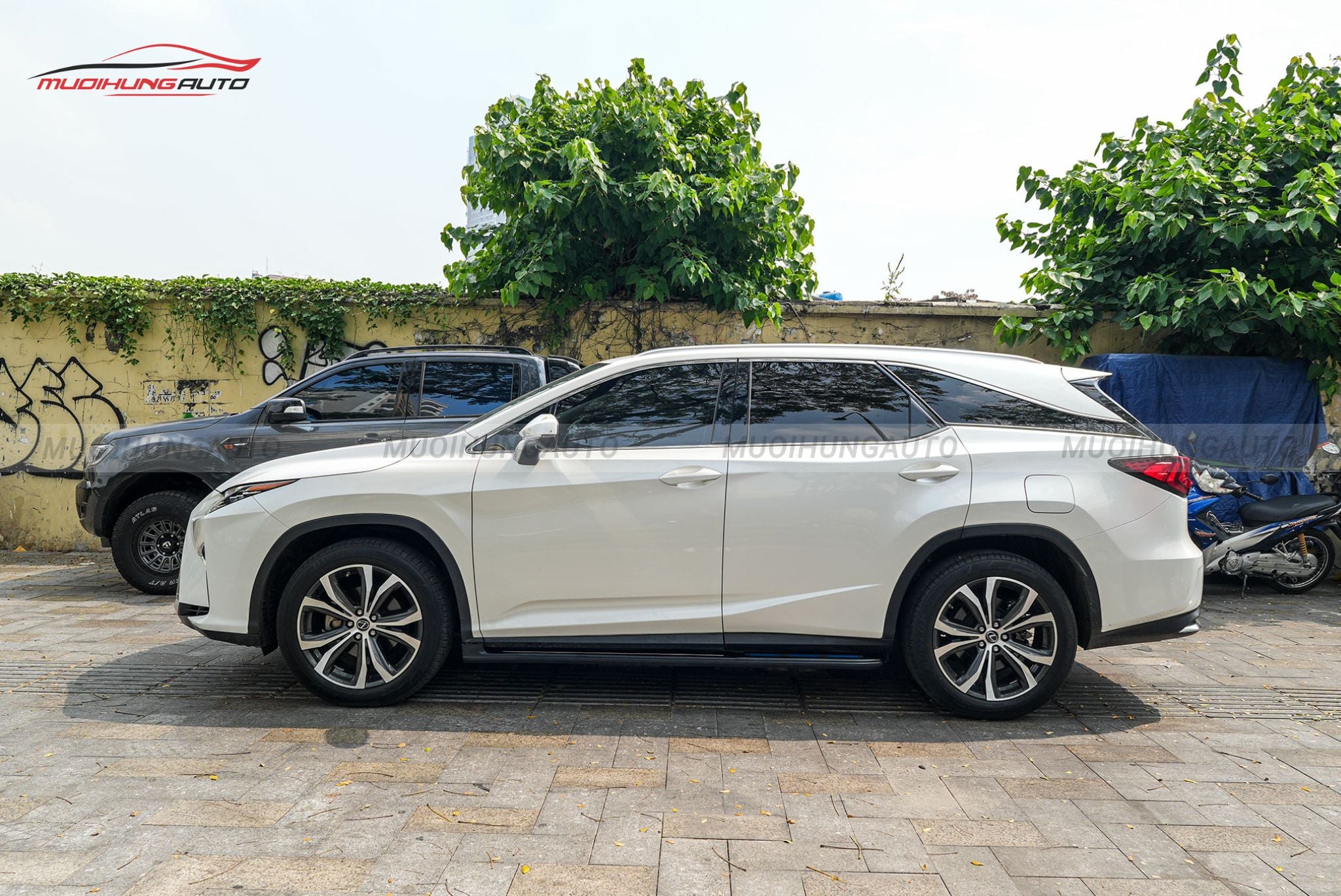 Bệ bước chân Lexus RX350 2019