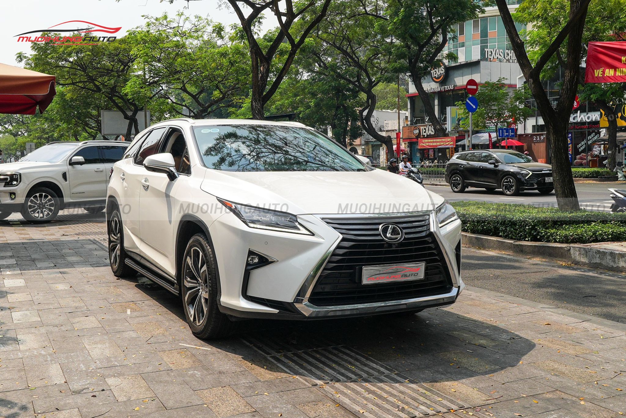 Bệ lên xuống xe Lexus RX350 2019