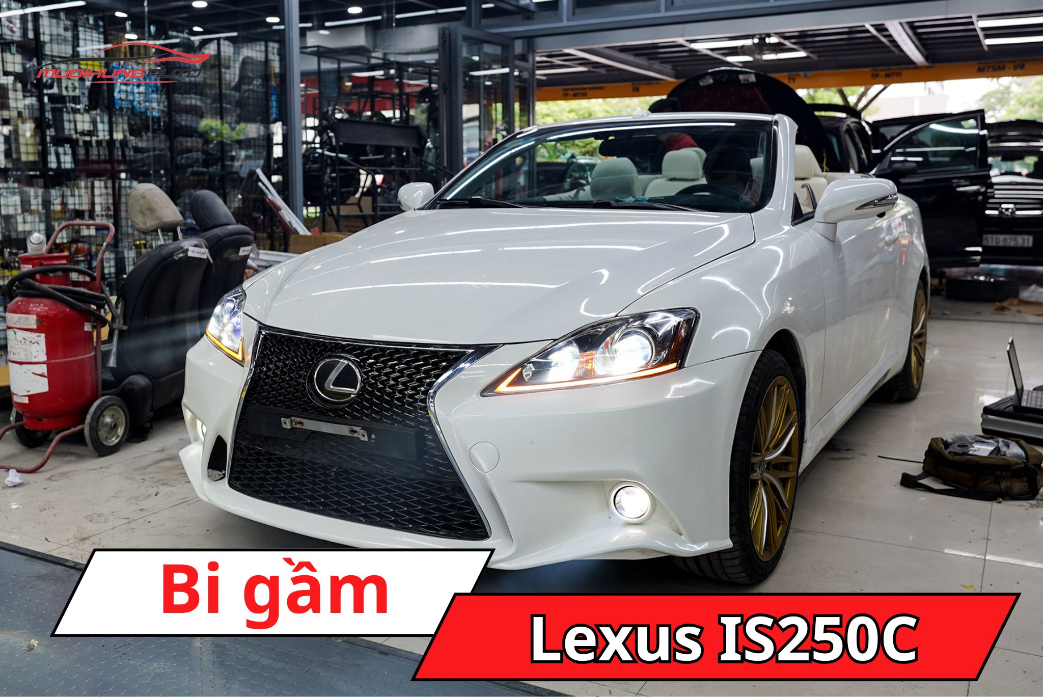 Bi gầm Lexus IS250C