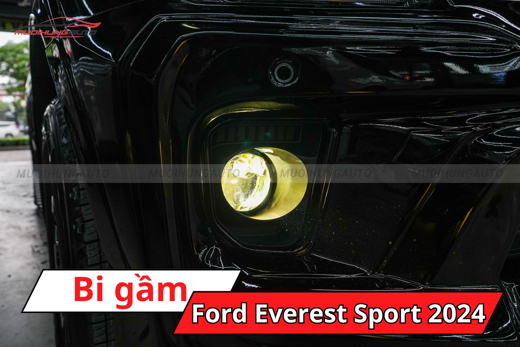 Bi gầm ô tô Ford Everest Sport 2024