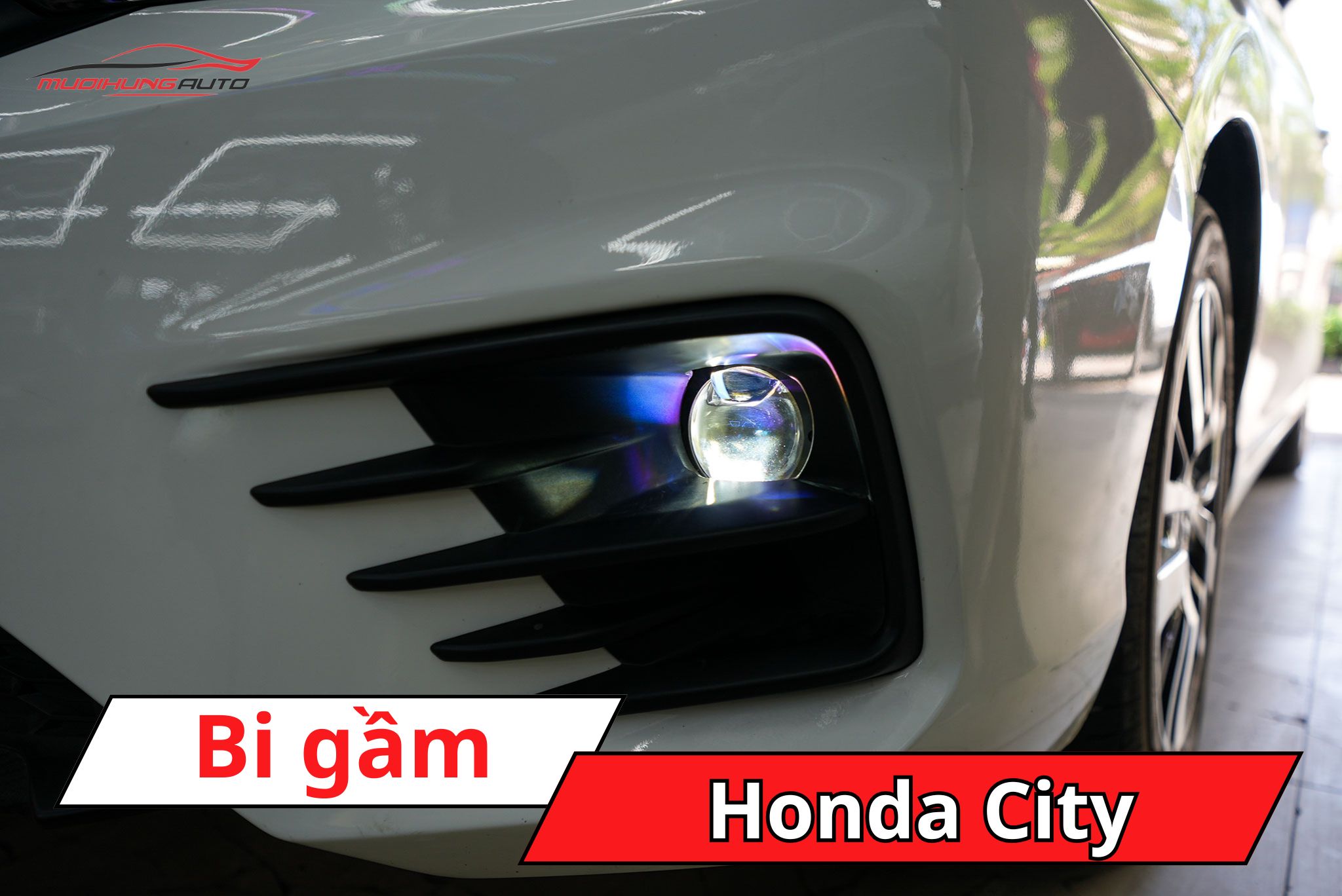 Bi gầm ô tô Honda City