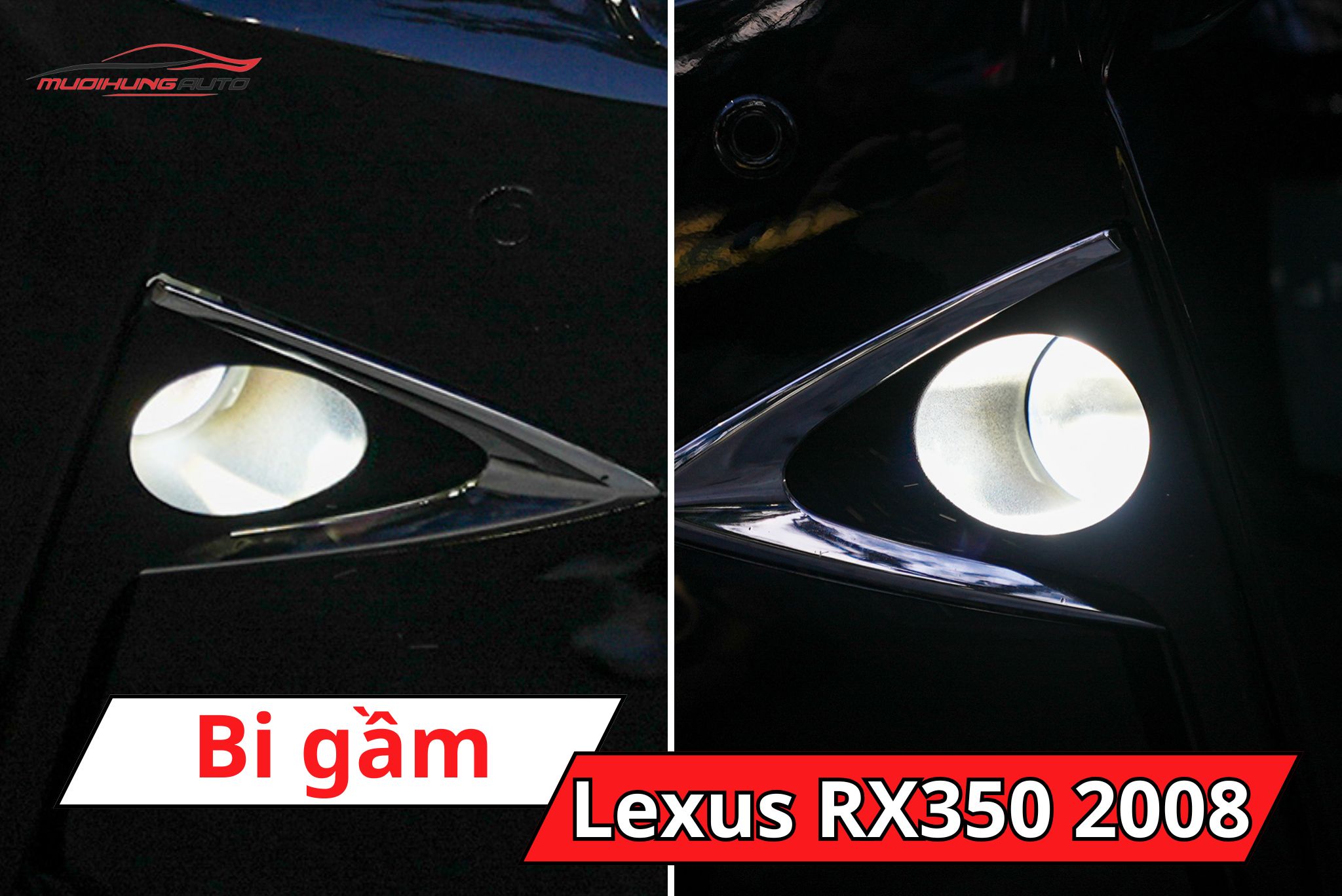 Bi gầm ô tô Lexus RX350 2008