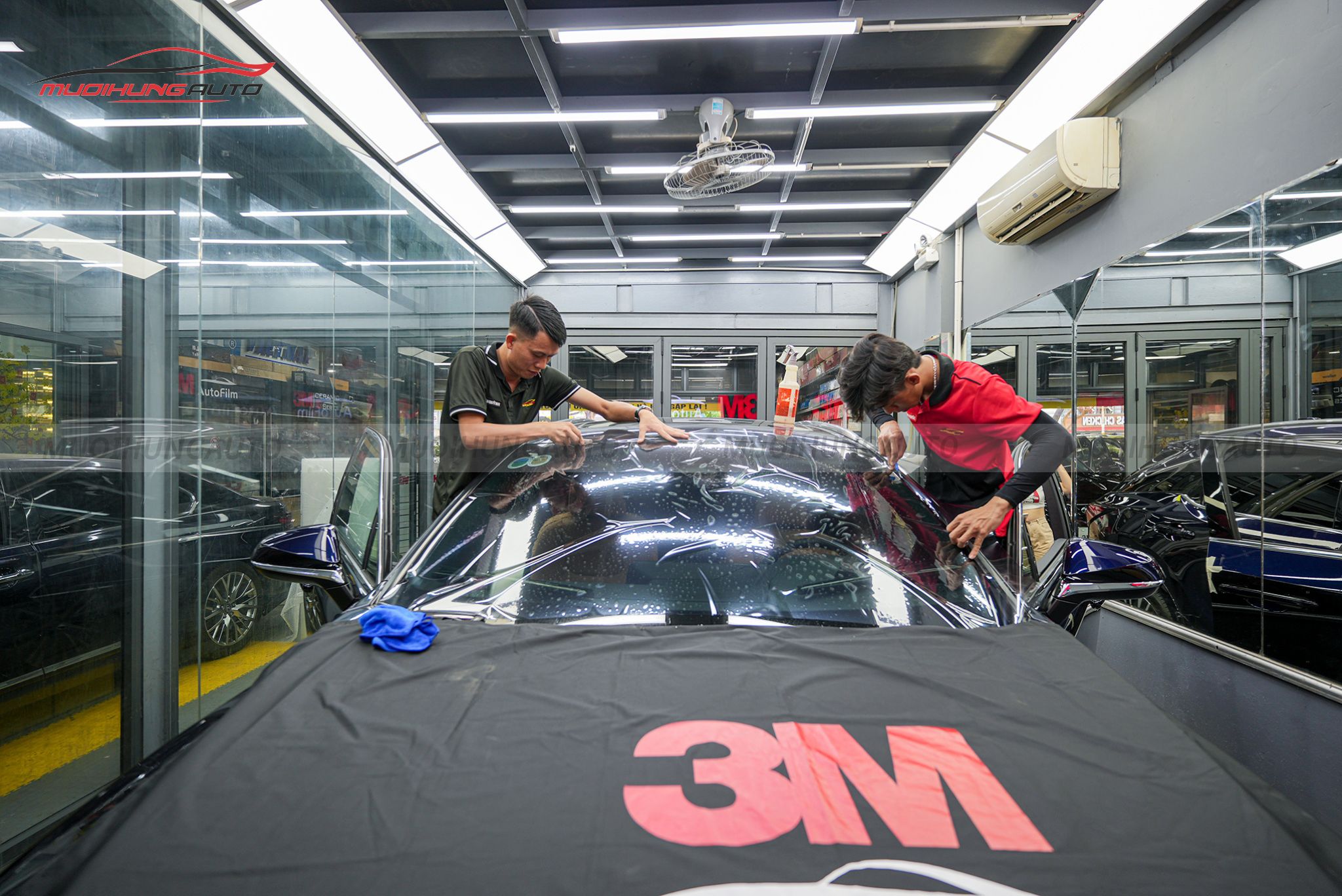 Dán phim cách nhiệt 3M cho xe Lexus RX350 2023