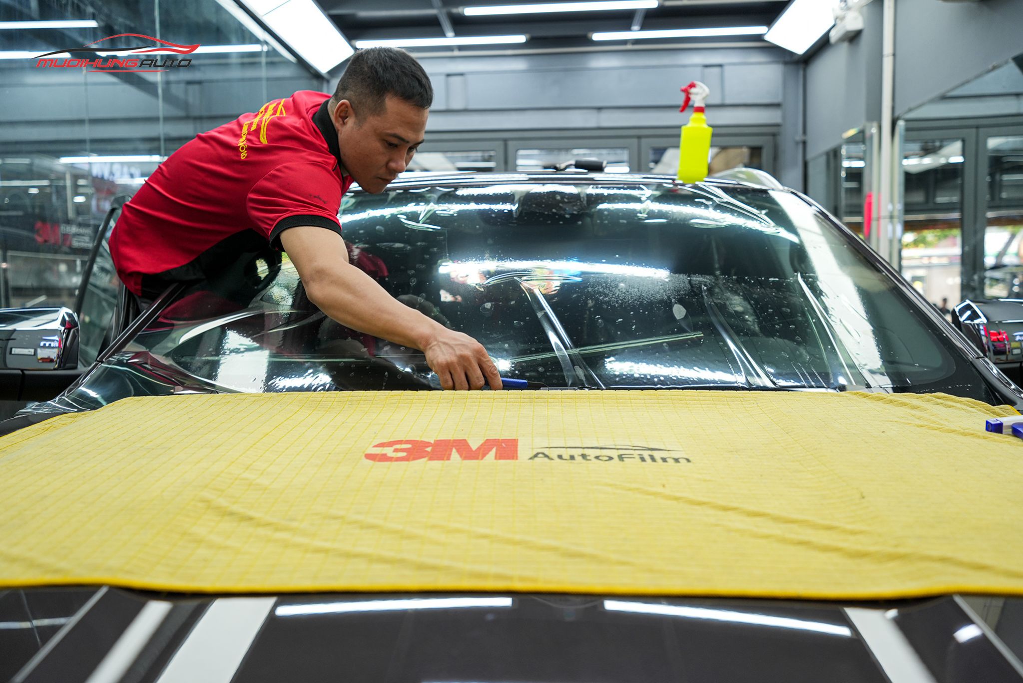 Dán phim cách nhiệt 3M Ford Everest 2022