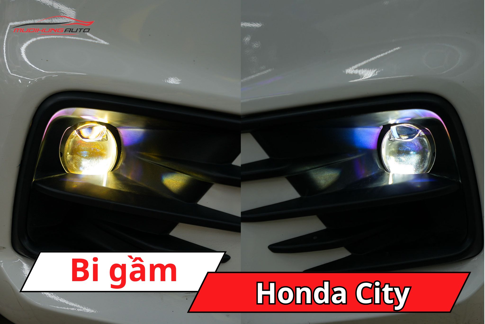 Đèn bi gầm Honda City