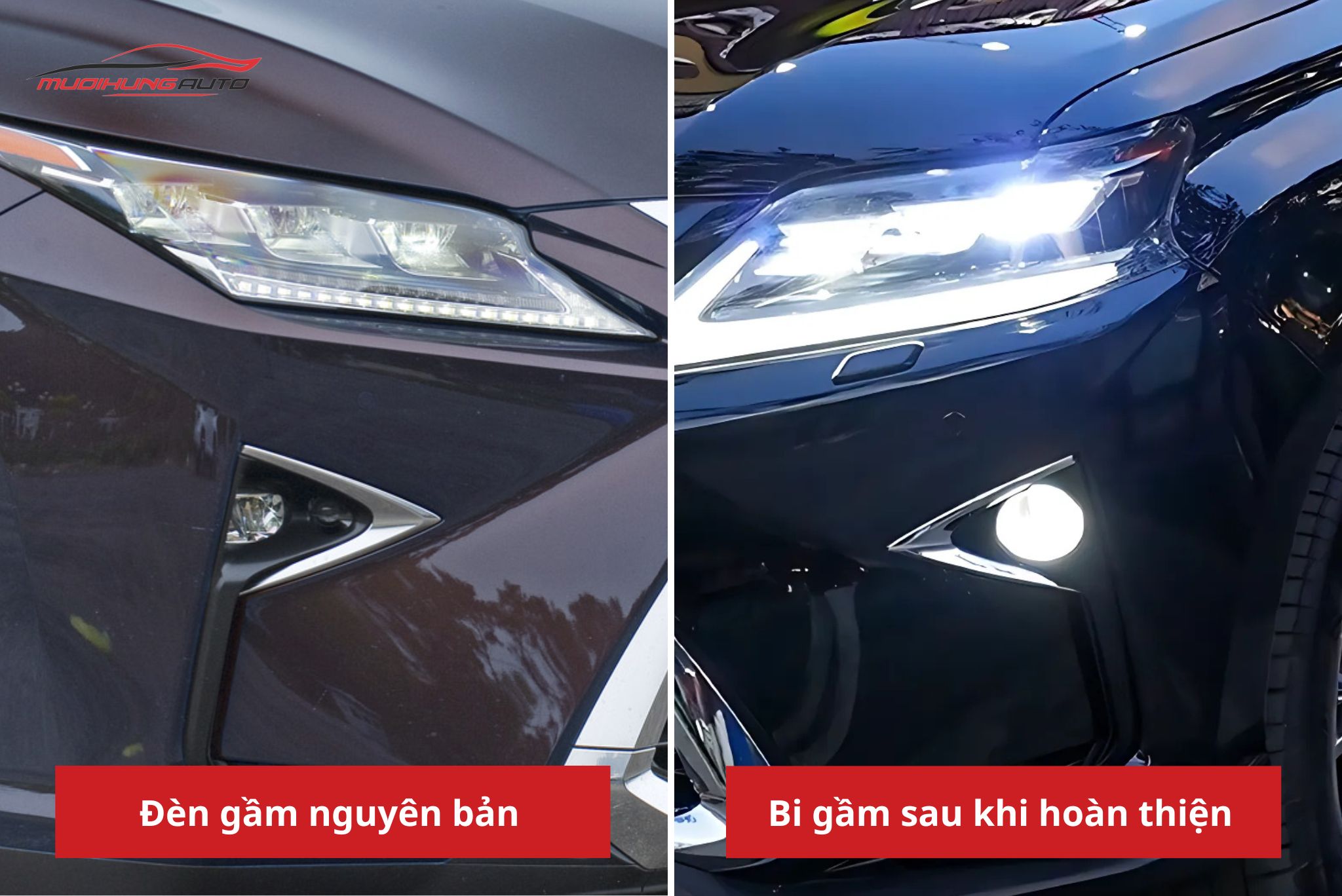 Đèn bi gầm Lexus RX350 2008