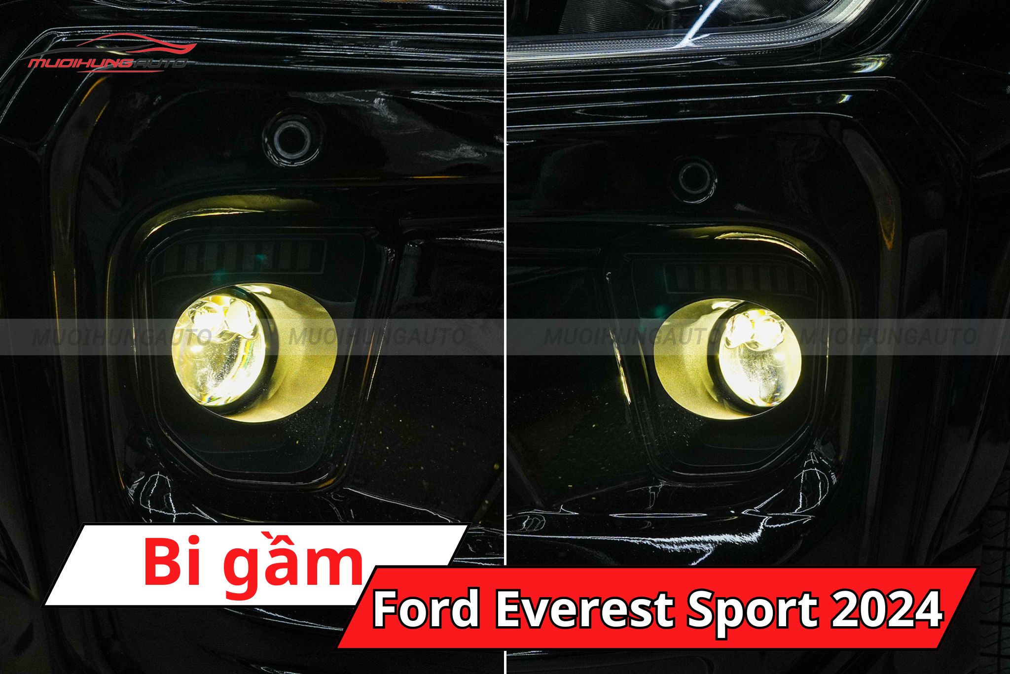Đèn bi gầm ô tô Ford Everest Sport 2024