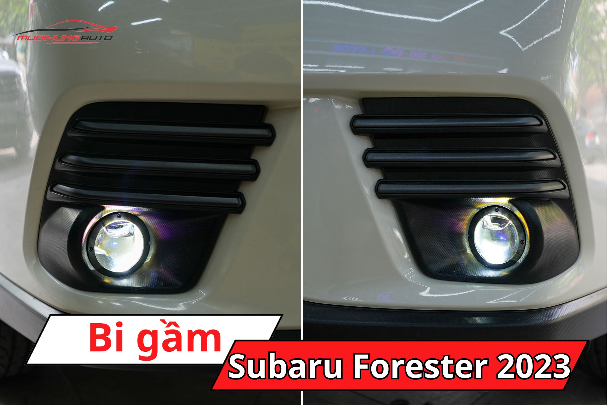 Đèn bi gầm ô tô Subaru Forester 2023