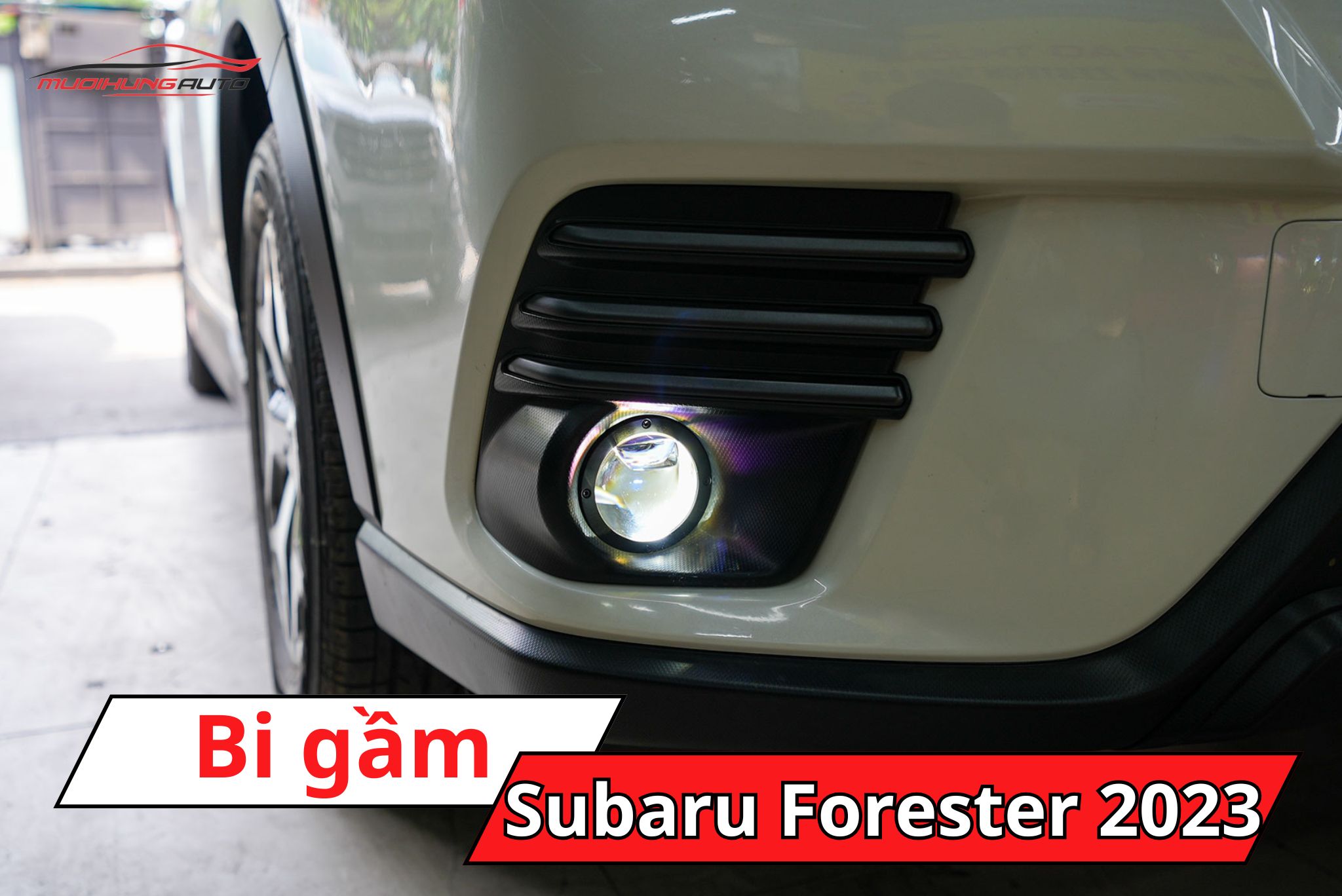Đèn bi gầm Subaru Forester 2023