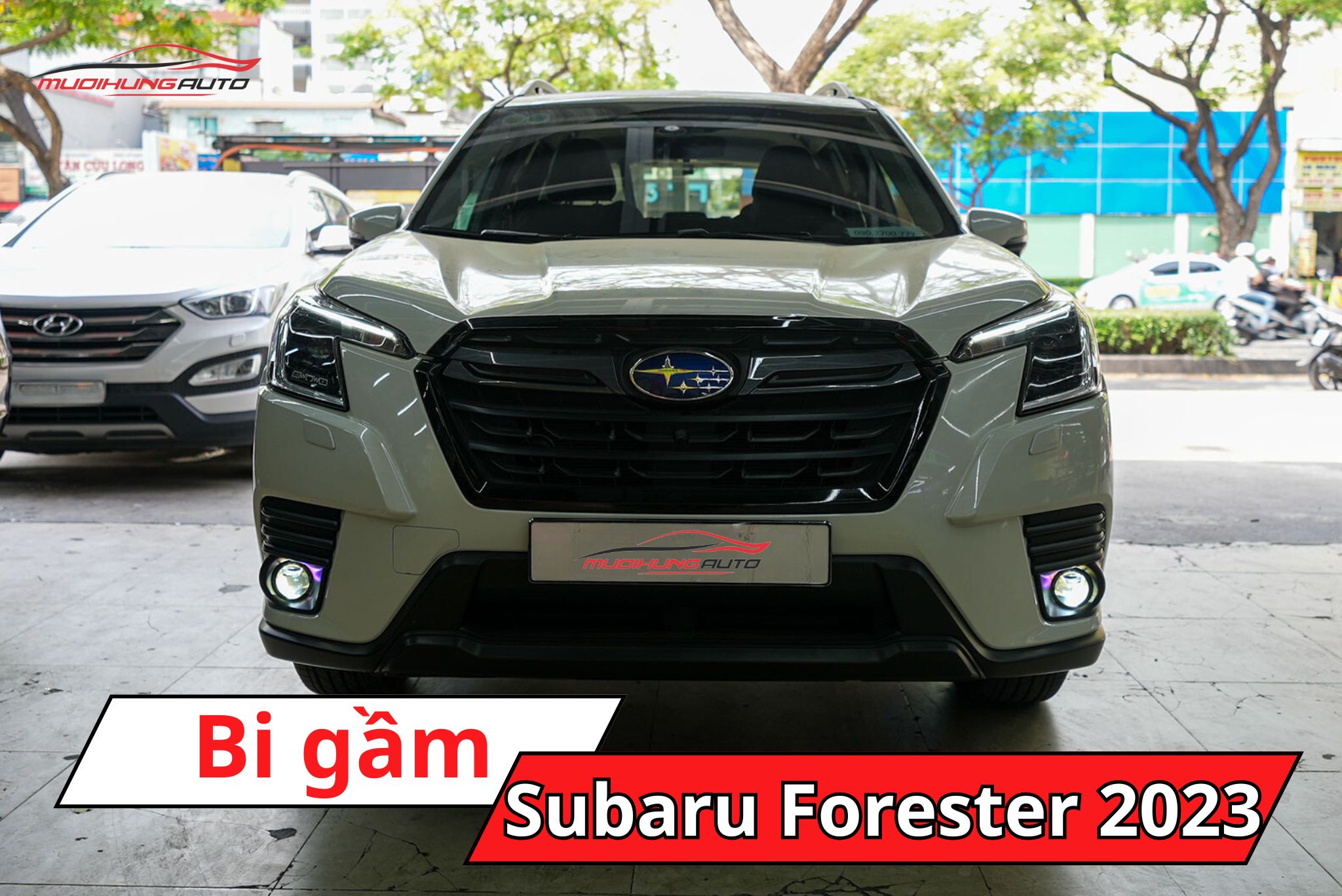 Độ đèn bi gầm ô tô Subaru Forester 2023
