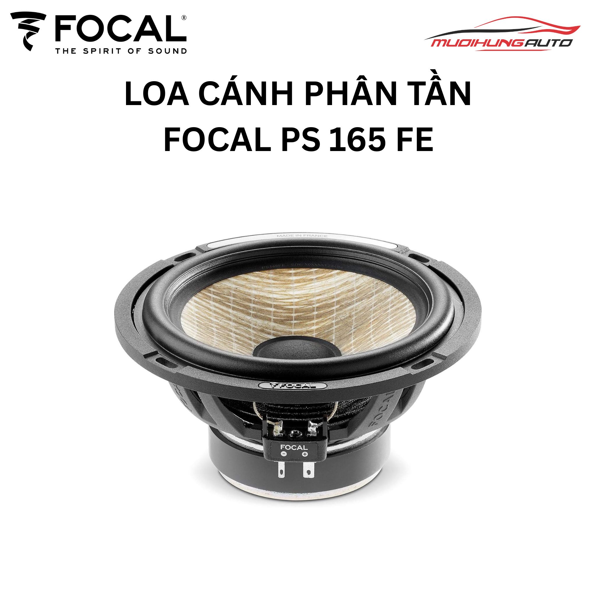 Focal PS 165 FE