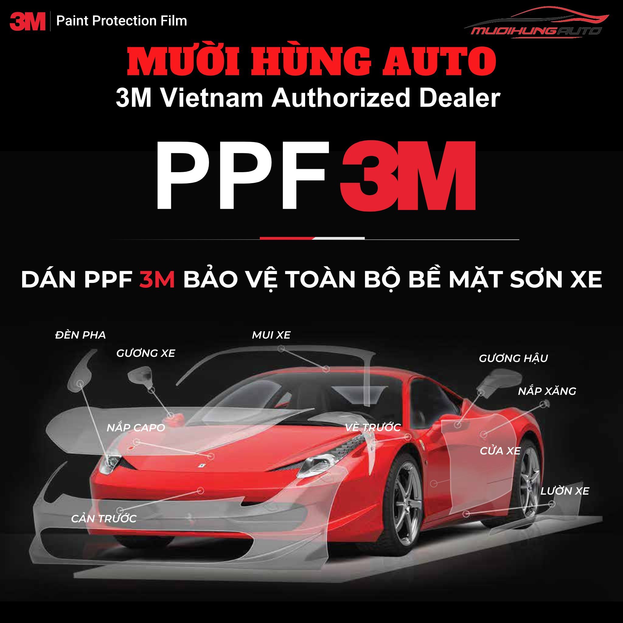 Giá dán PPF 3M ô tô 7 chỗ