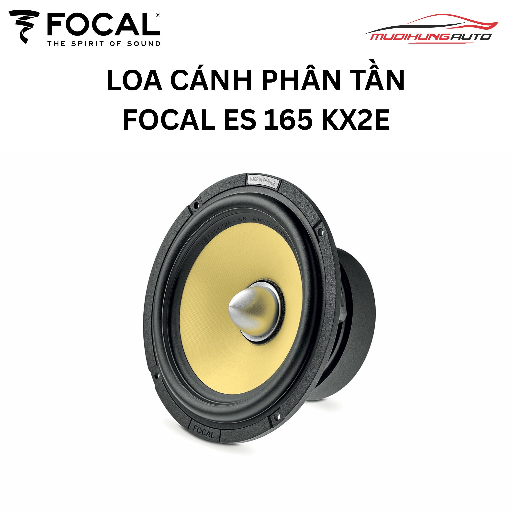 Loa cánh cửa Focal ES 165 KX2E