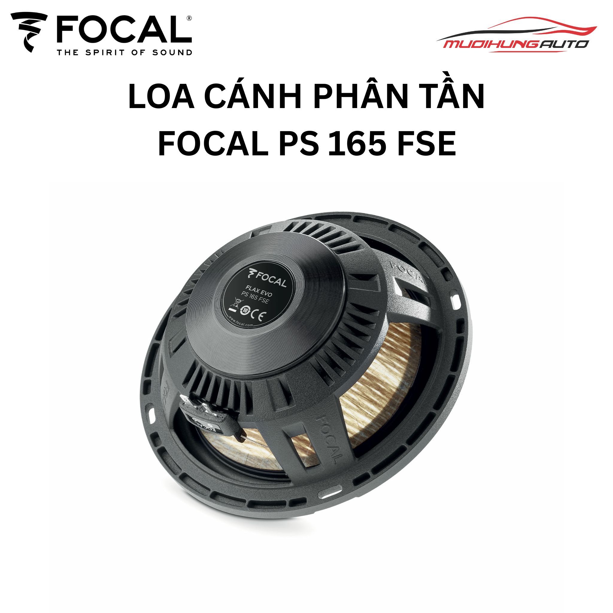 Loa cánh cửa ô tô Focal PS 165 FSE
