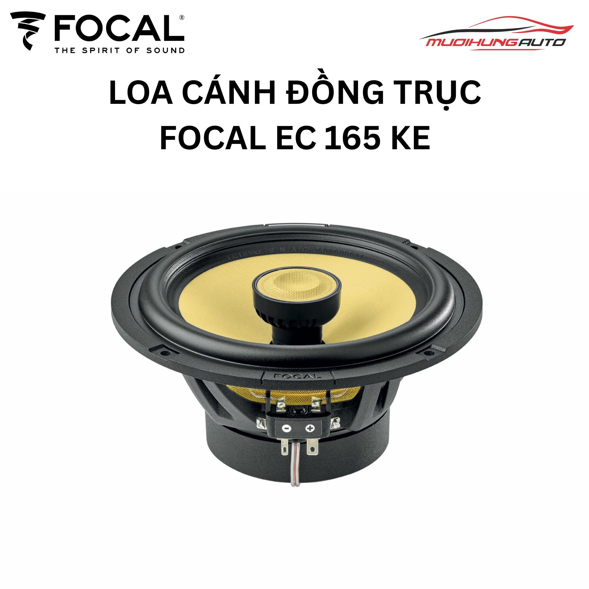 Loa cánh Focal EC 165 KE