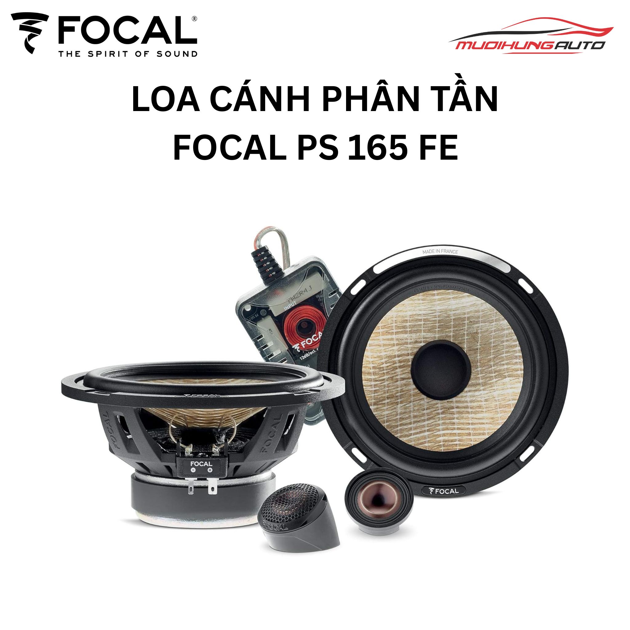 Loa cánh phân tần Focal PS 165 FE