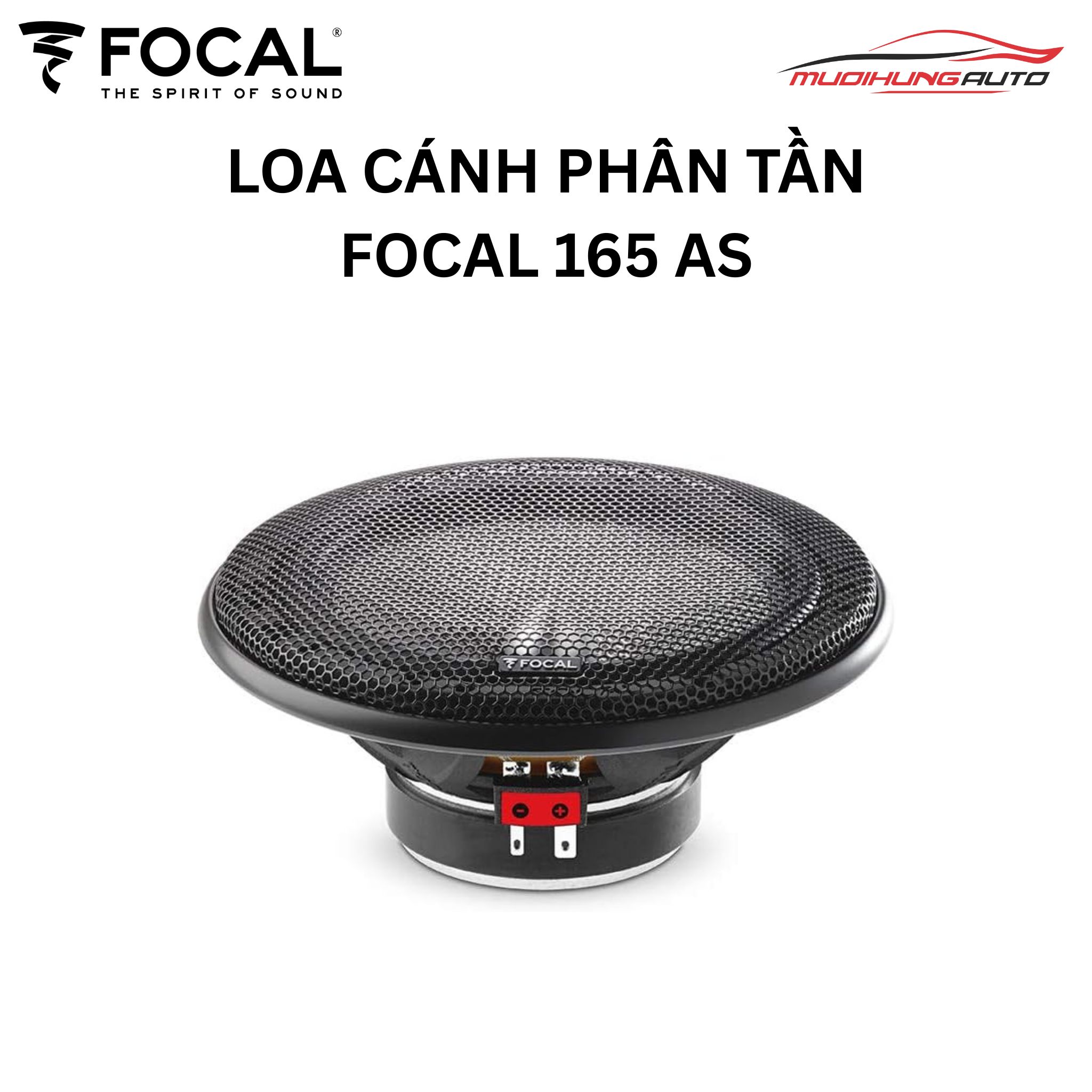 Loa Focal 165 AS