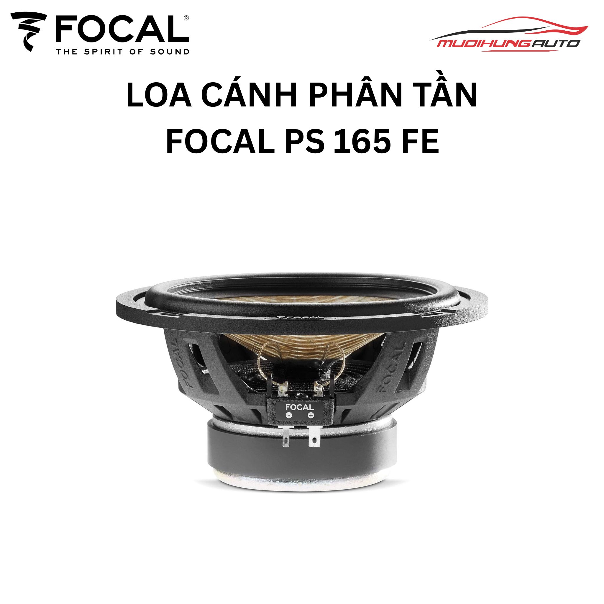 Loa Focal PS 165 FE