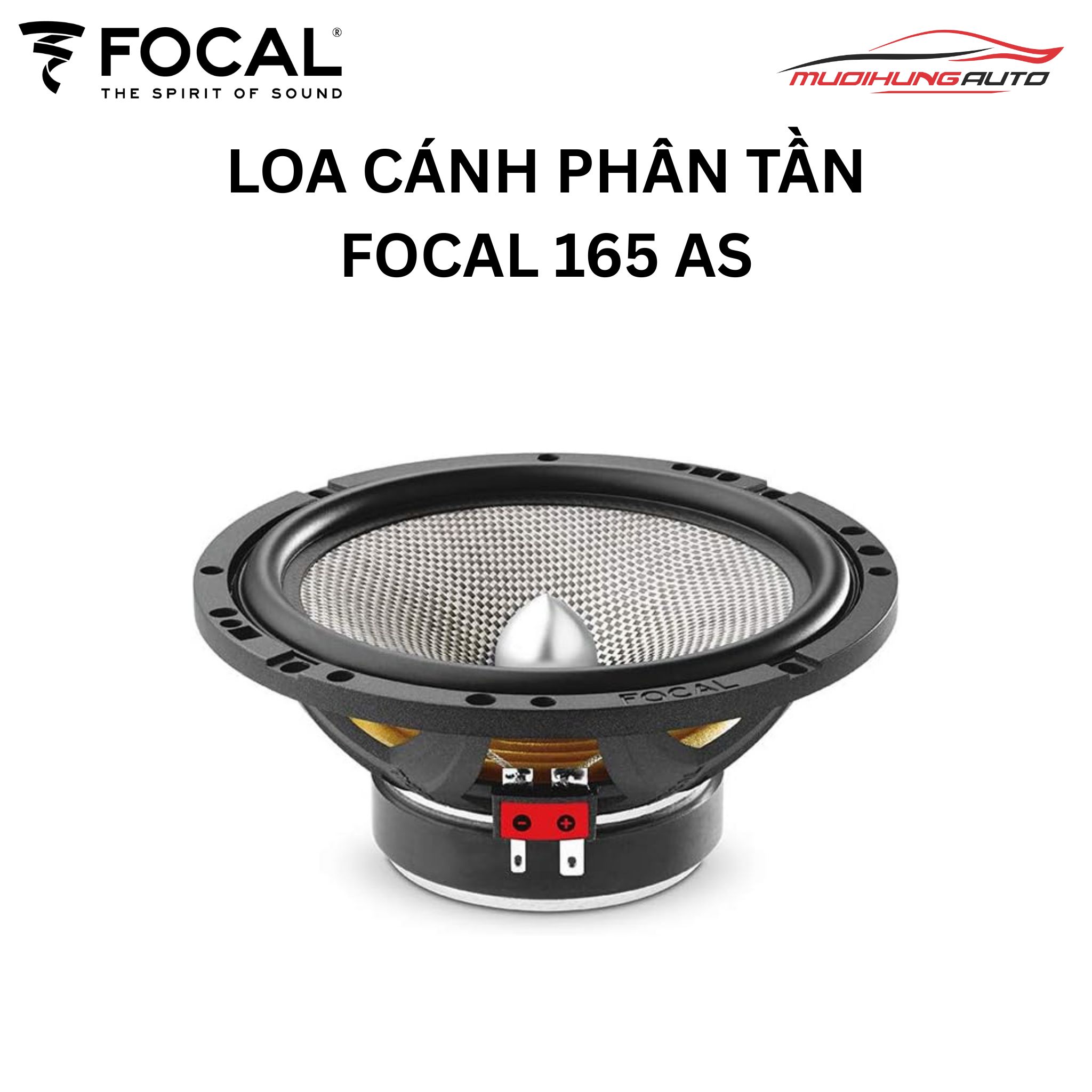 Loa phân tần Focal 165 AS