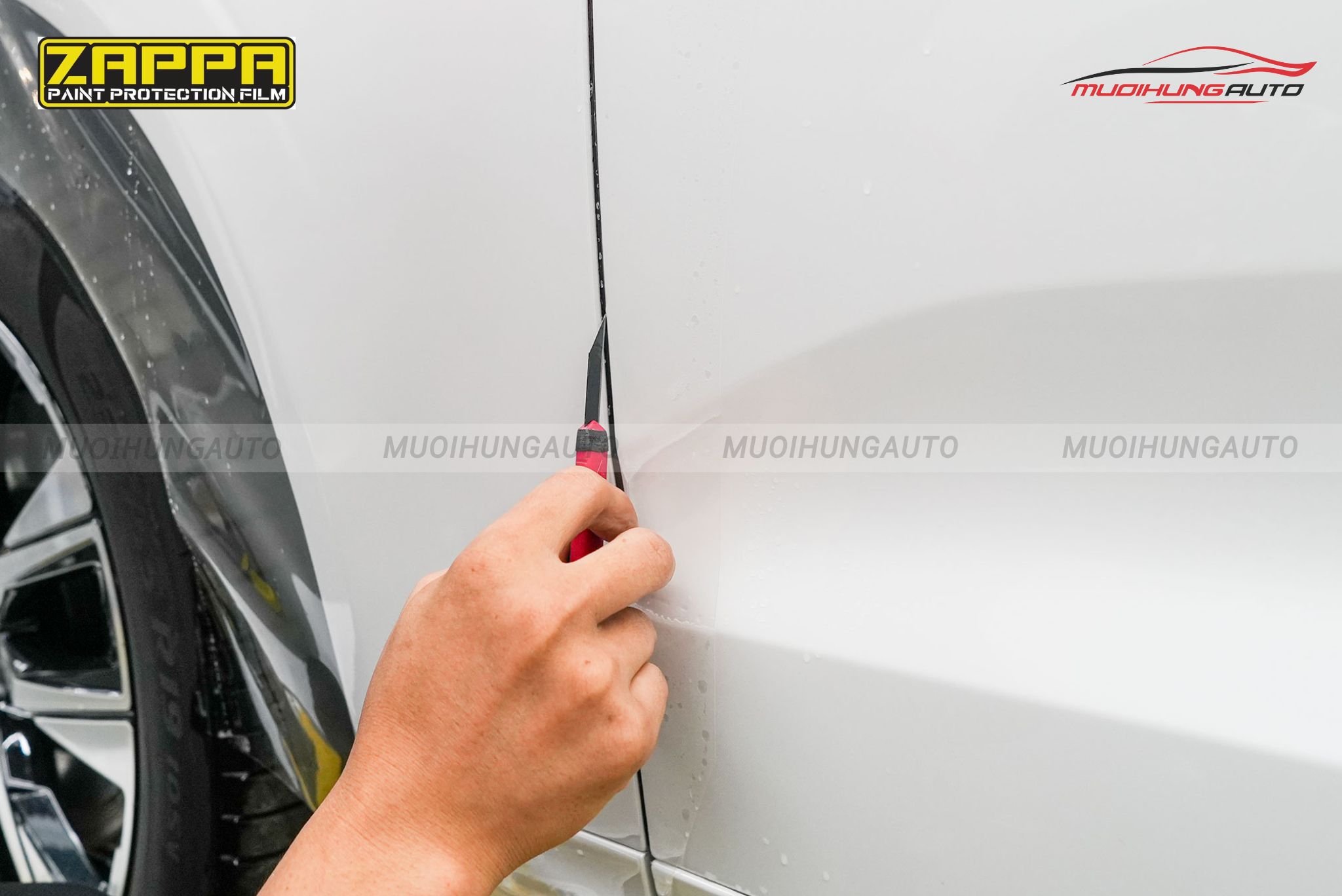 Phim PPF Zappa TPU 1368 ô tô