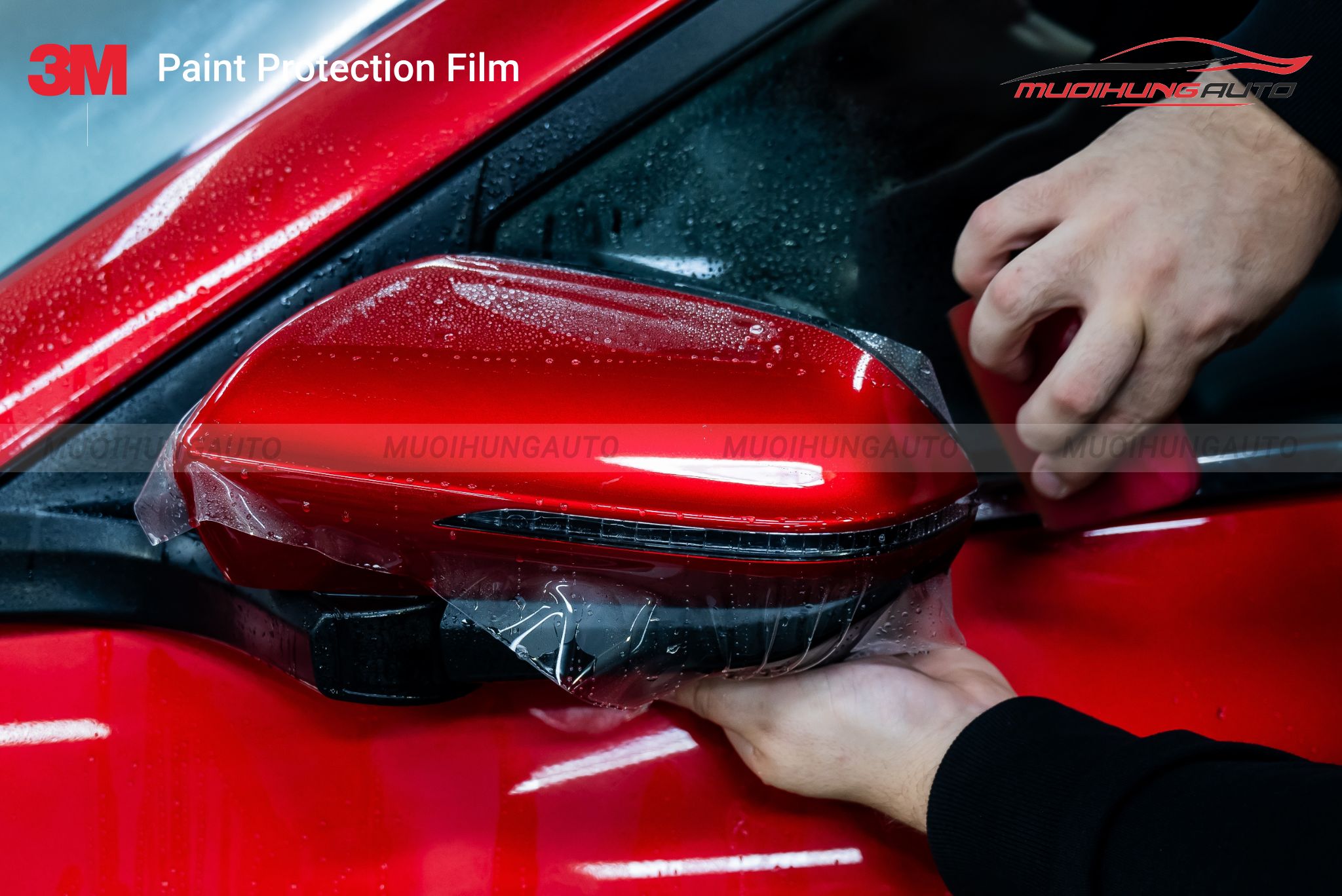 PPF 3M 50 Gloss Series dán xe hơi