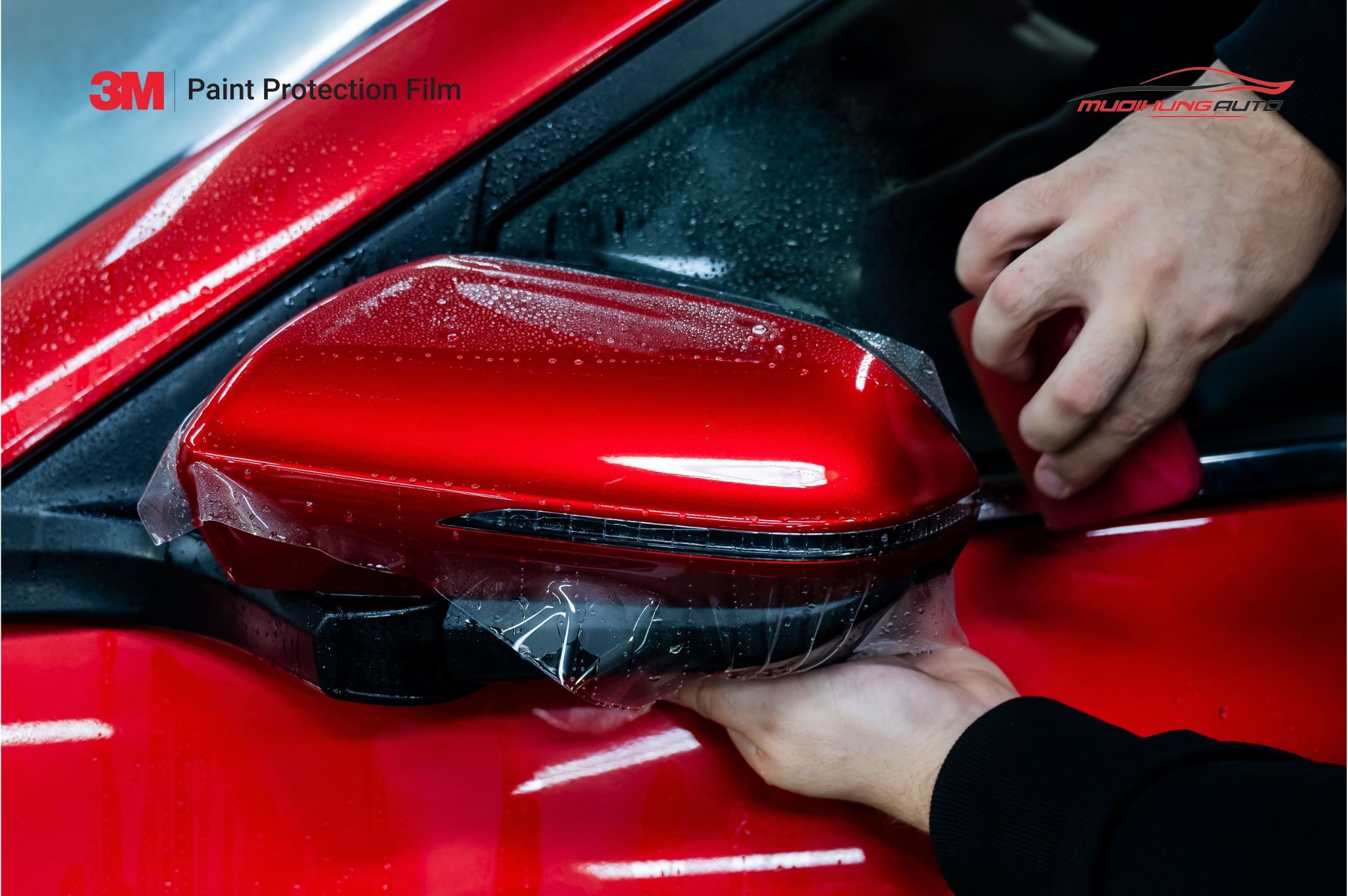 PPF 3M dán xe ô tô 7 chỗ