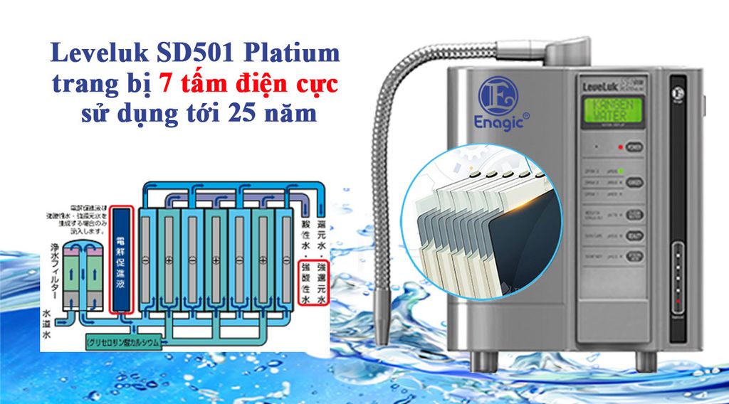 SD501 Platium