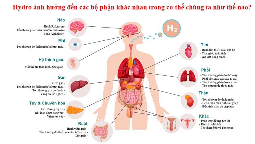 hydro phòng ngừa bệnh