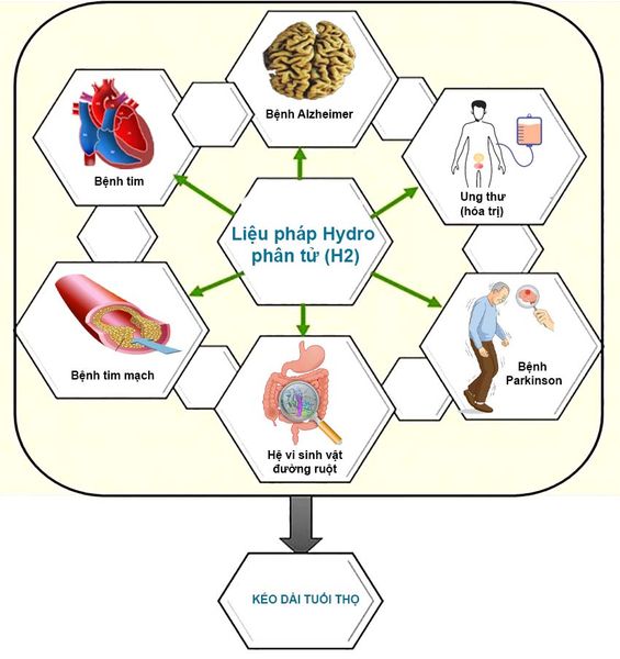 Hydro kéo dài tuổi thọ