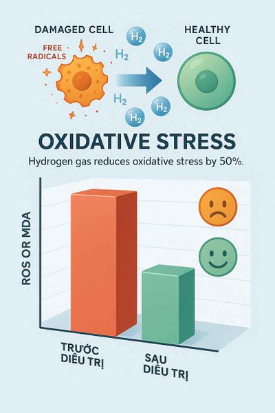 Biểu đồ thể hiện tác dụng chống oxy hóa của nước hydro và khí hydro