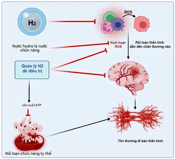 Hydro kéo dài tuổi thọ