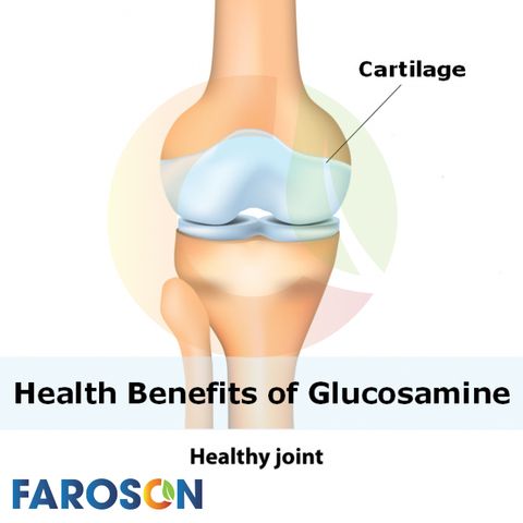 グルコサミンについて知っておくべきこと- Faroson Joints Care 9 in 1