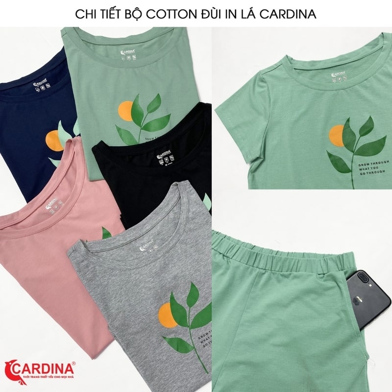 Đồ bộ thun cotton nữ Cardina chất lượng,đa dạng mẫu mã