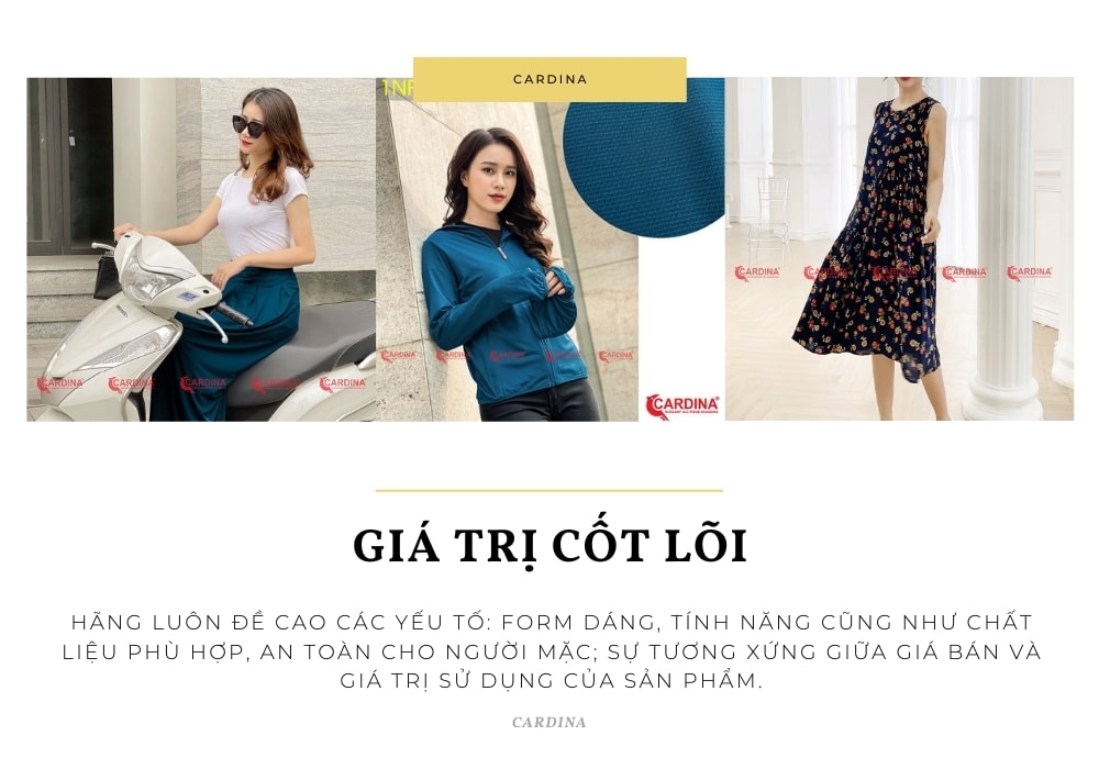 giới thiệu về Cardina