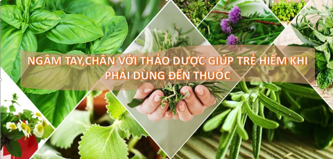 NGÂM TAY CHÂN CÙNG CÂY CỎ HOẶC THẢO DƯỢC GIÚP TRẺ HIẾM KHI PHẢI DÙNG THUỐC