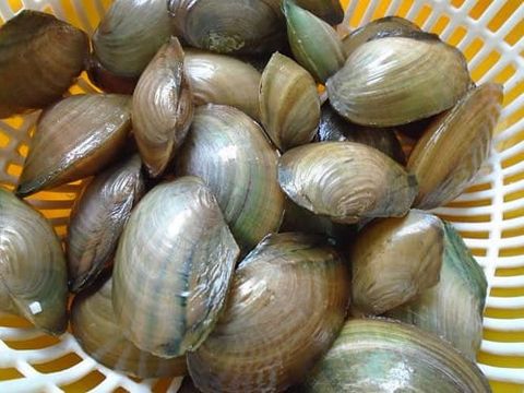 CHÁO TRAI - CÁCH TRỊ ĐỔ MỒ HÔI TRỘM CHO BÉ HIỆU QUẢ