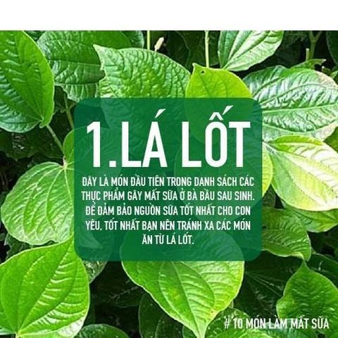 10 MÓN MẸ CẦN TRÁNH ĐỂ KHÔNG LÀM MẤT SỮA CHO BÉ BÚ