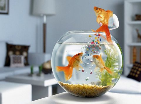4 NGUYÊN TẮC DẠY CON TRỞ THÀNH NGƯỜI VĨ ĐẠI