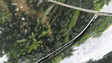 Đốm nước - Water Spot - Kẻ thù của vỏ xe ô tô