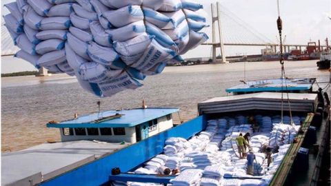 Việt Nam ngừng xuất khẩu gạo vì Covid-19