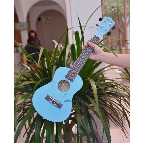 Hướng dẫn chọn mua Ukelele tốt nhất cho người mới tập chơi