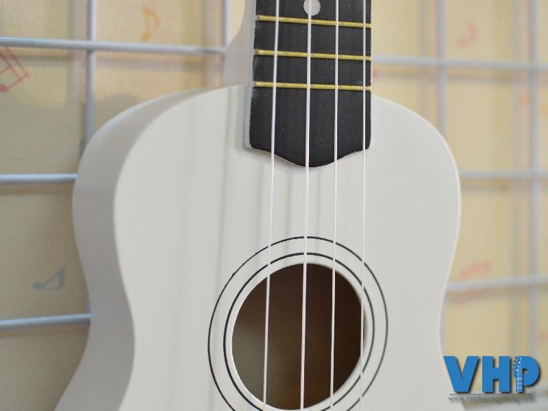 Bí quyết để mua đàn Ukulele giá rẻ mà chất lượng tốt!