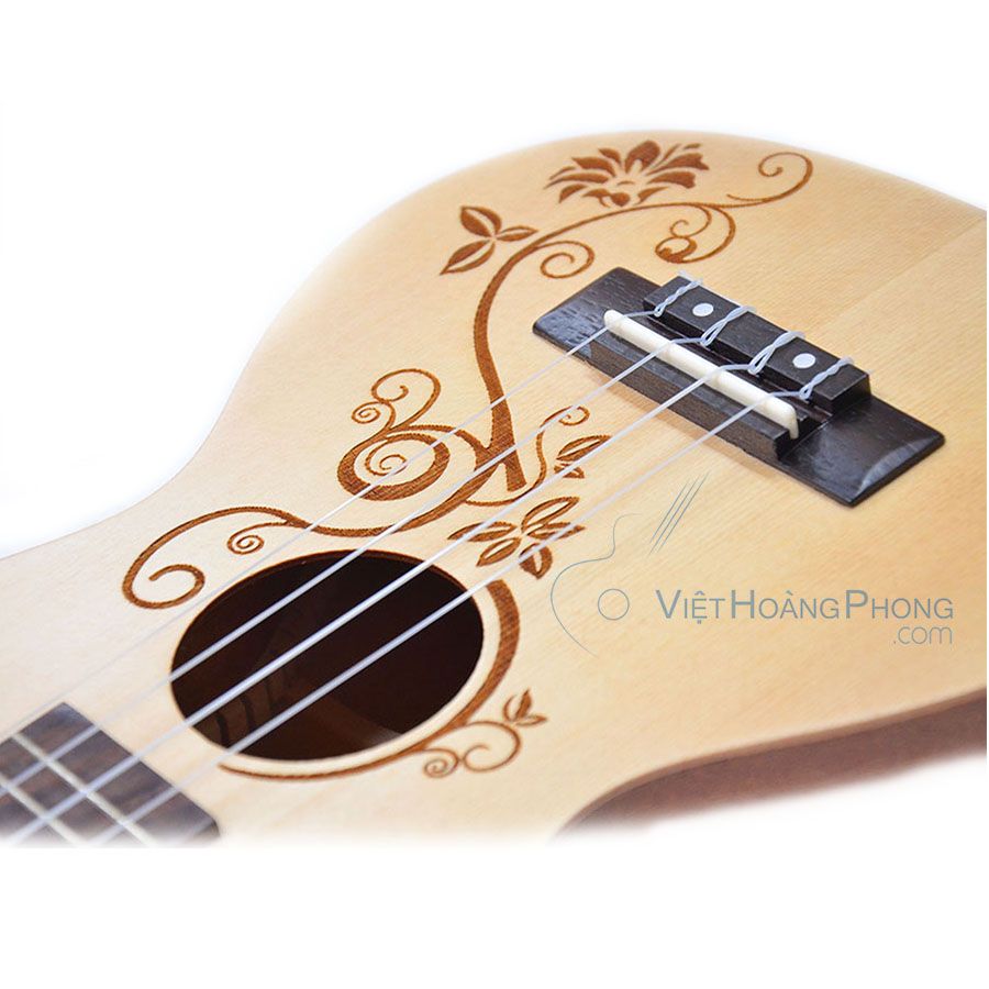 Những câu hỏi thường gặp về Ukulele