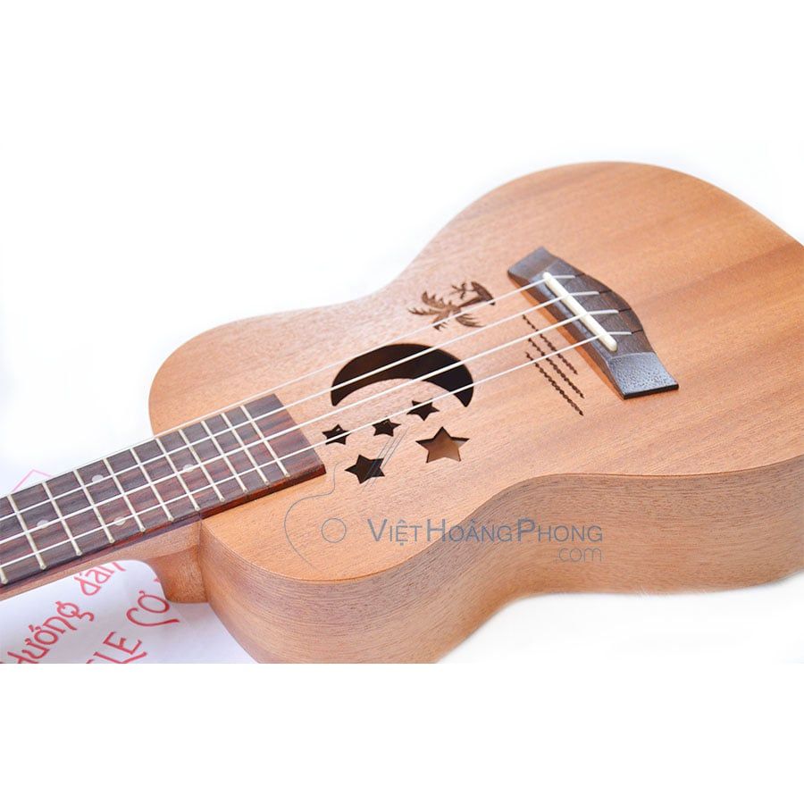 Những Hợp Âm cơ bản nhất cần biết khi bắt đầu học đàn Ukulele