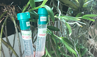 Keiki Duy Spray- Giải quyết vấn đề trong giây lát